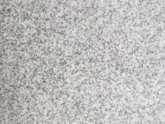 山東白麻(小花)